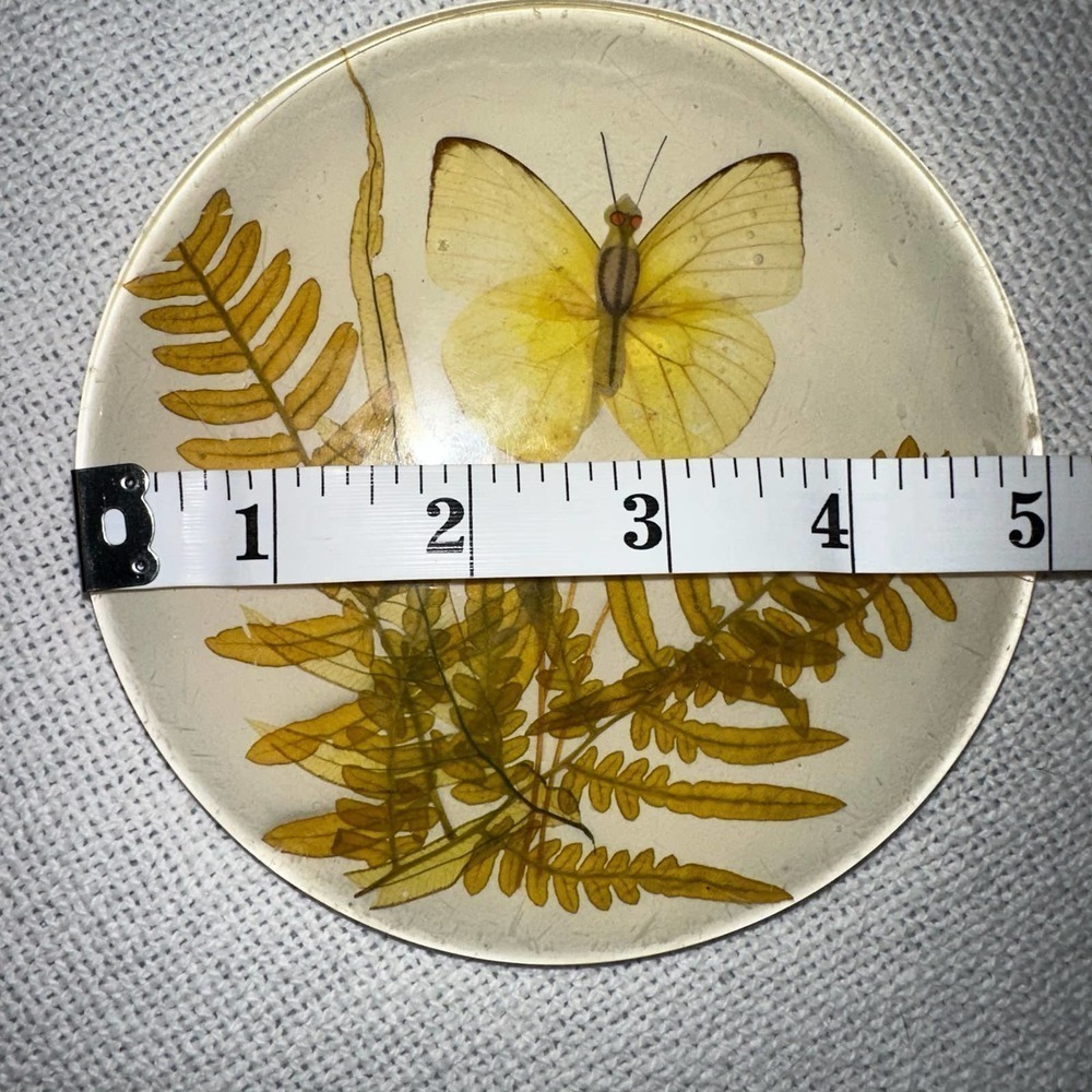 Vintage 70's Acrylic Lucite TRIVET Dried Ferns & Butterfly - Picture 5 of 5